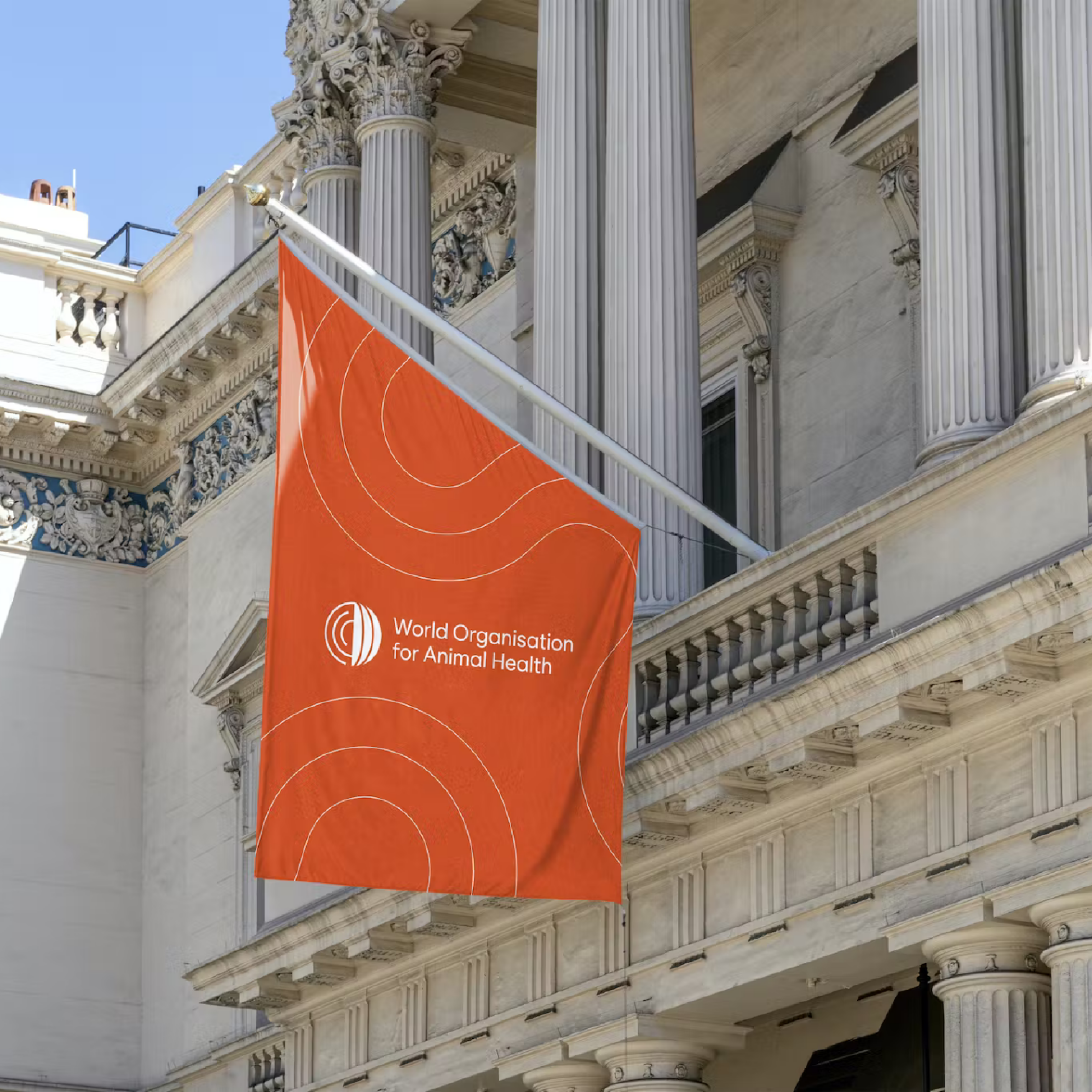 World health organisations