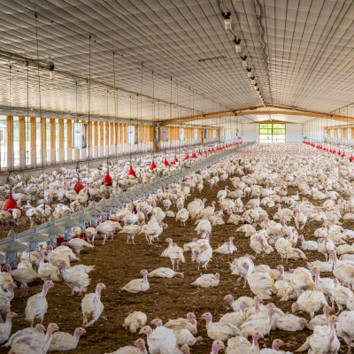 Integrated data for flock profiling