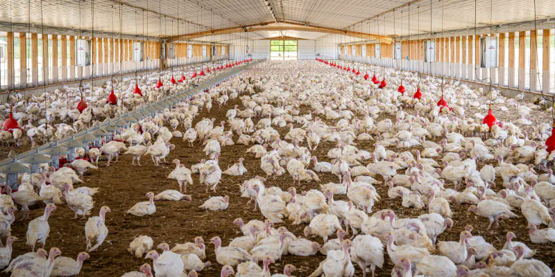 Integrated data for flock profiling